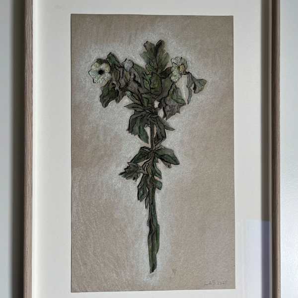 Bolmört by L&B (Laura Fahlsten & Britta Kjellgren Jäger), Image 1.