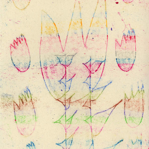 Untitled (Rainbow Tulip) by Erika Vega, Image 1.