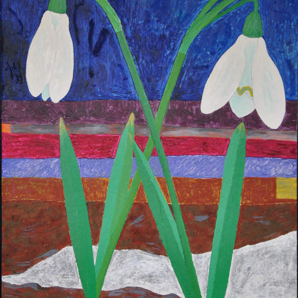 Vintergækker by Lars Ravn, Image 2.