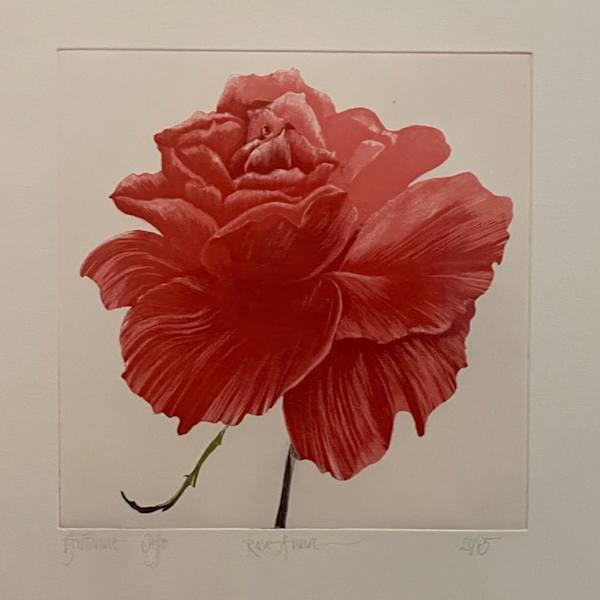 Rose Anna by Grane Cuffe, Image 1.