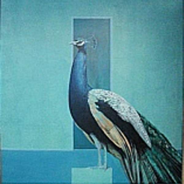 Peacock by Bryan Organ, Image 1.