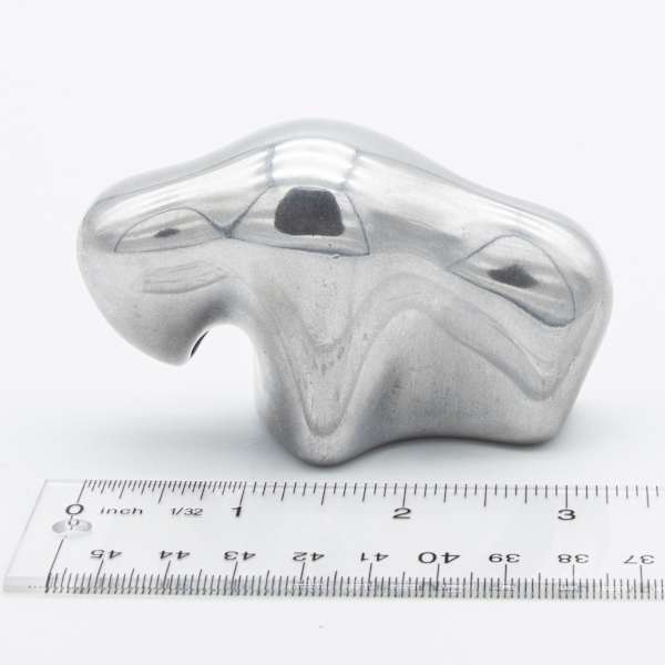 Aluminum Bison #318 by Hoselton, Image 5.
