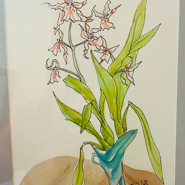 Pink Peaking Orchid by Jake Bialos, Image 1.
