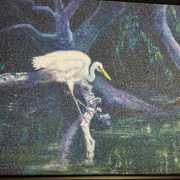Snowy Egret by Jo Bartruff, Image 1.