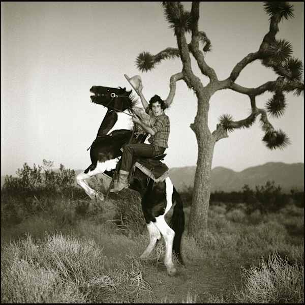 Cowboy on Rearing Horse by Frank Gargani, Image 2.