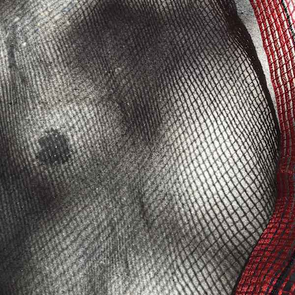 Burlesque by Terry Frishman, Image 1.