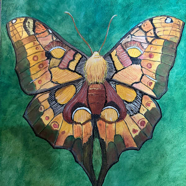 Butterfly Moth by Becky Chelf, Image 1.