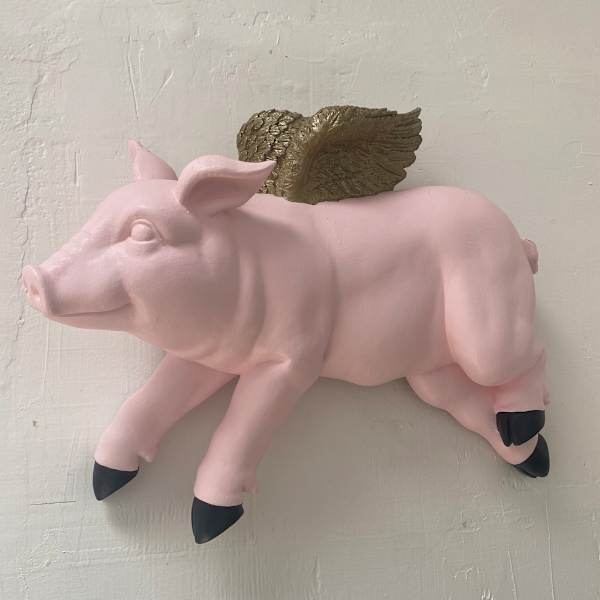 Topanga's Flying Pig by Chris Budzin, Image 1.
