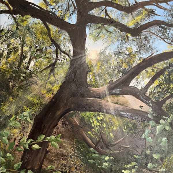 Santa Maria Road by Alison Delaney, Image 1.