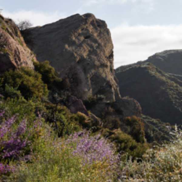 Eagle Rock In Bloom by Jessica Alexandra, Image 1.