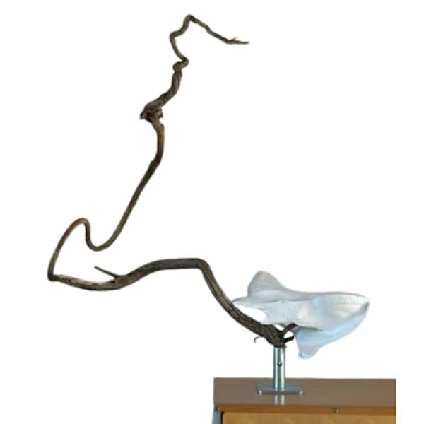 Moon Horse by Clyde Corley, Image 2.