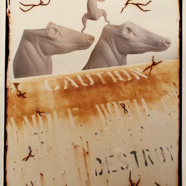 Fall from Grace, Animal Mannequins Witness the Destruction of the World by Alice Sebrell, Image 1.