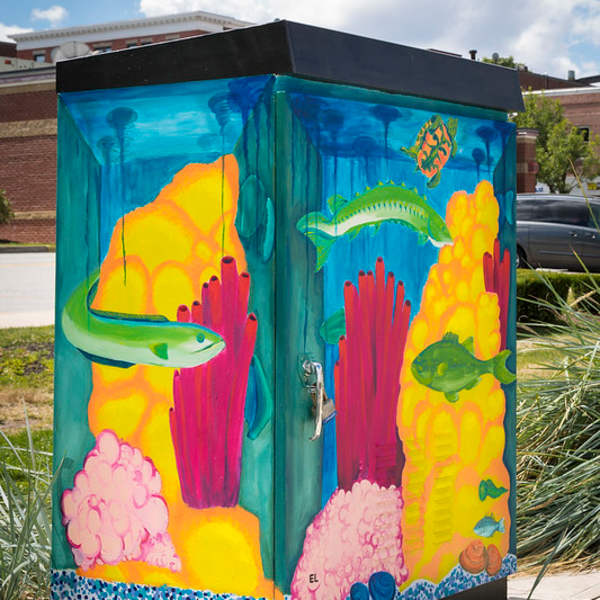 Salem's Mini Aquarium by Emily Larsen, Image 1.