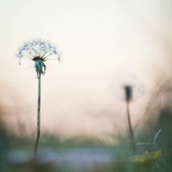 Untitled by Christopher Eubanks, Image 5.