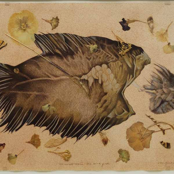 Memento Mori - The Bird Fish by Susan Von Glahn, Image 1.