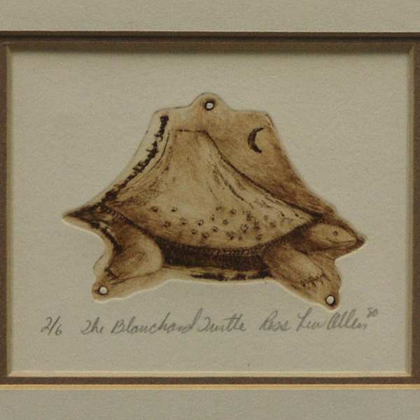 The Blanchard Turtle by Ross Lew Allen, Image 1.