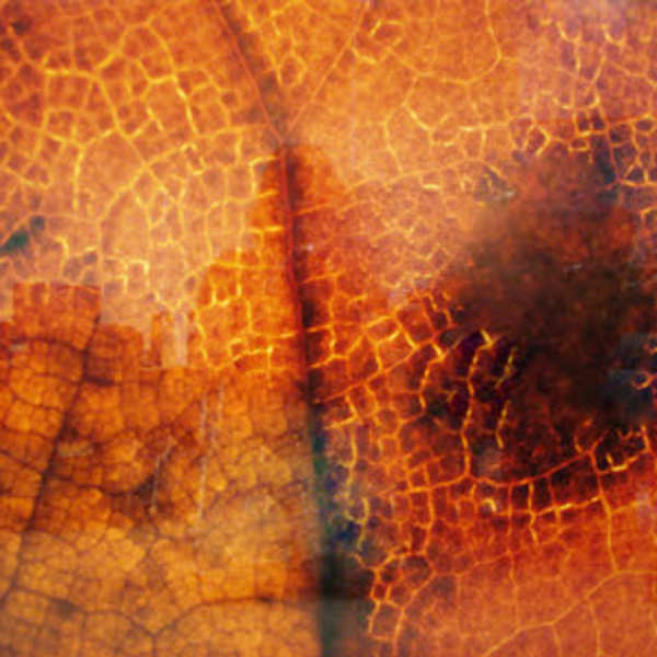 A Little Bit by Adam Waterson, Image 1.
