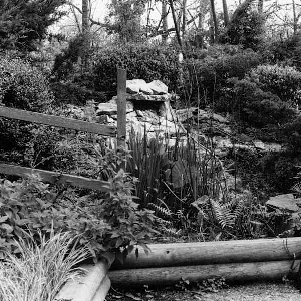 Bay Area Park by Diana Garrett, Image 1.