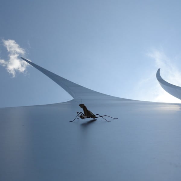 Praying at the Memorial by Paolo Zanotti Fregonara, MD, Ph.D., Image 1.