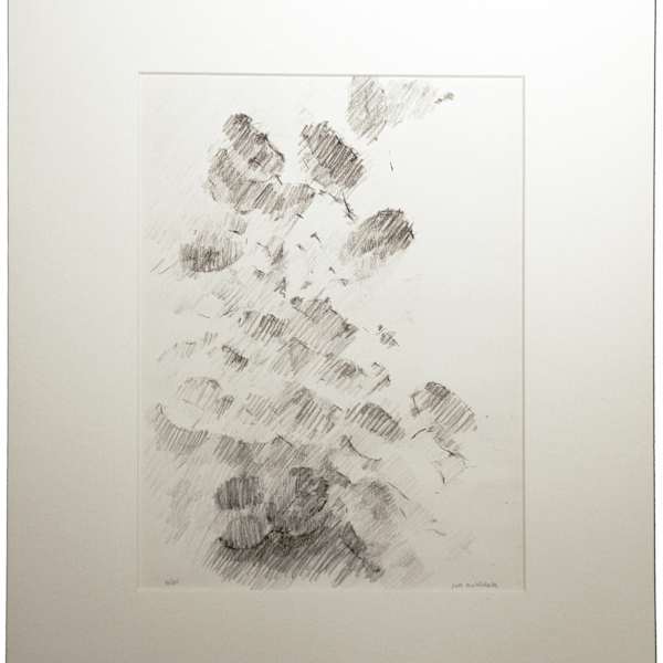 Leaves & Light by Joel Goldblatt, Image 1.