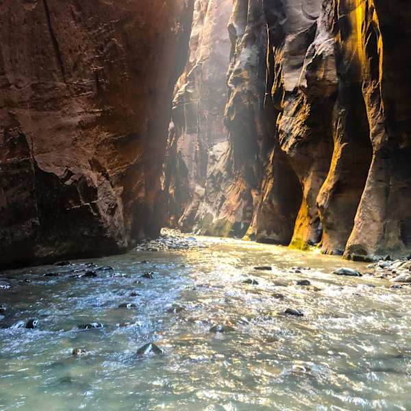The Road Less Traveled by Jaime Rodriguez, Image 1.