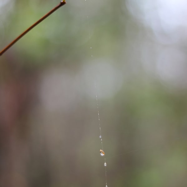 The Long Way Down by Chase Cobb, Image 1.