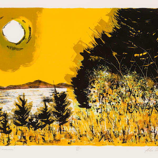Maine Summer by John Muench, Image 1.