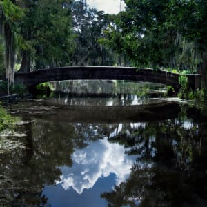 Reflecting Bridge by Cheryl Sperling