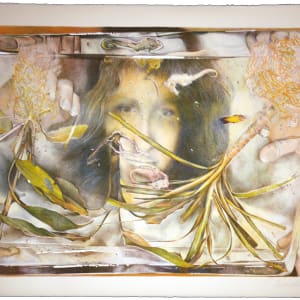 Forest Water by Lisa Mackie
