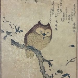 Horned Owl on Flowering Branch by Kubo Shunman