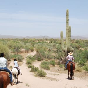 Arizona Trail Ride by Glenecia "Necie" Green