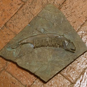 Fossil Record Series: Comb Fish I by Colette Hosmer