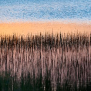 Gull Point Sticks at Dawn by Alexandra Nemeth