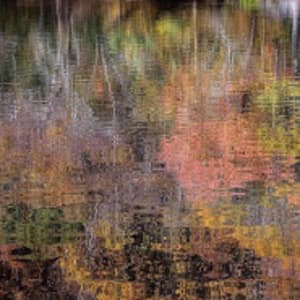 Chattahoochee River Study (Fall) Reflections #5 by Barry Vangrov