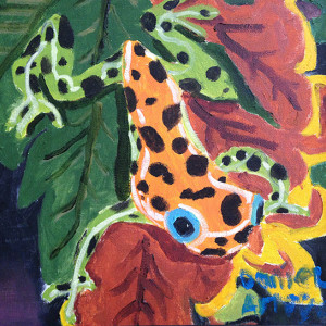 Tree Frog by Daniel Arroyo