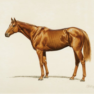 Affirmed by Guy Coheleach