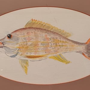 Acapulco Fish* by Theckla Constable