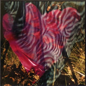 Fabric in Wind by Susan Moldenhauer