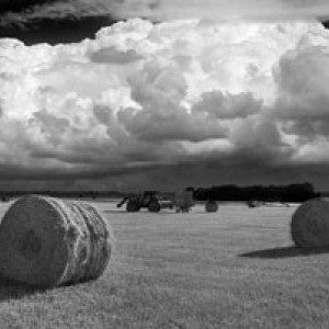 Hay Fever by Daniel Coburn, Image 1.