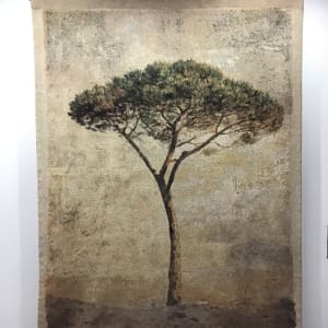 Roman Tree by Magnolia Editions