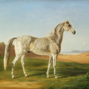 Horace Terry’s Spotted Arabian by Henri DeLattre