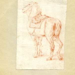Study of a Horse by Adam Frans van der Meulen
