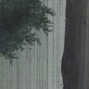 Egret on a High Branch in the Rain by Koho Shoda
