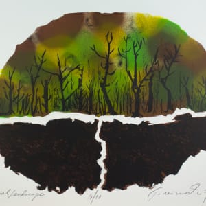 Elliptical Landscape by Robert Freimark