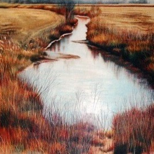 Ditch Curve by Deborah Murphy