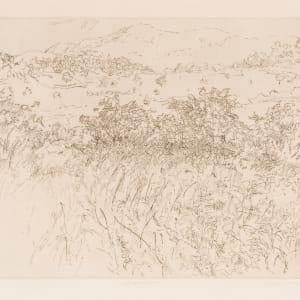 Big Meadows by Jeanne Richards
