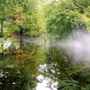 Foggy Pond by Carrie Claffey, RN