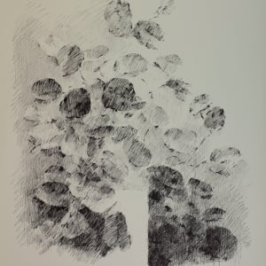 Still Life & Light by Joel Goldblatt