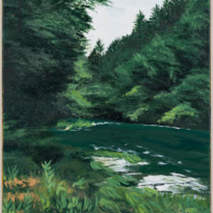 Chattooga River by Elizabeth Lang