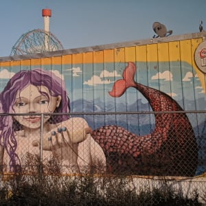 Mermaid by Ron Meisel
